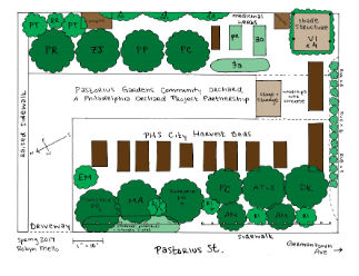 Designing Urban Ecosystems: Intro to Permaculture
