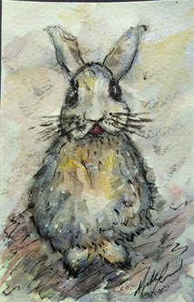 Wildlife Cards in Watercolor & Pen
