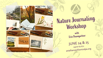 Nature Journaling: simplified landscapes, plein air, & daily writing practices